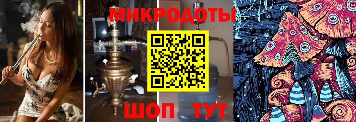 Галлюциногенные грибы Psilocybine cubensis Старая Купавна