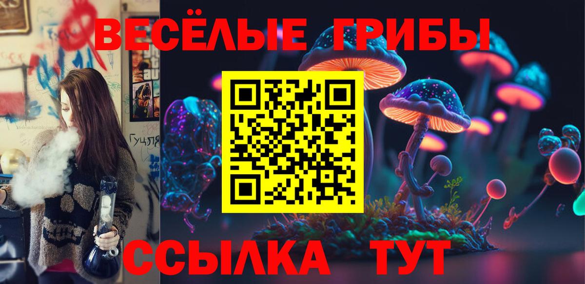 Старая Купавна  Псилоцибиновые грибы Psilocybine cubensis  Вход с VPN 